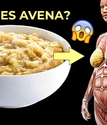 avena durante el día