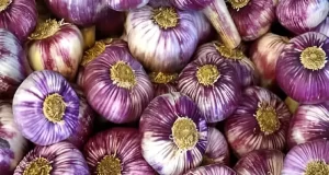 Beneficios del ajo