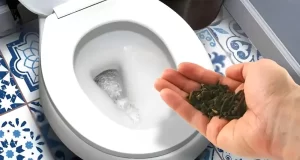 clavo de olor para el baño