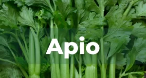 té de apio