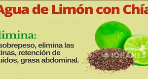 AGUA DE LIMÓN CON CHÍA VITALIDAD