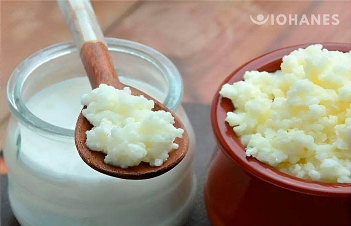 Kefires Aprende a hacer kéfir: Fortalece tu Sistema Inmunológico y Digestivo