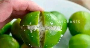 LIMON FORMA DE CRUZ PORTADA