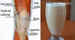 BATIDO PARA LOS TENDONES Y RODILLAS-