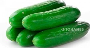 CONSUMIR PEPINO A DIARIO